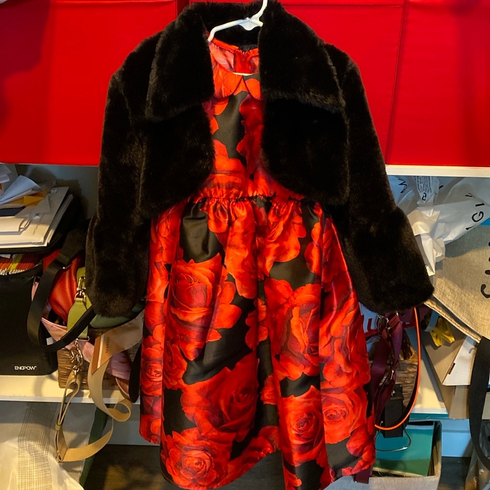 Girl Christmas holiday dress